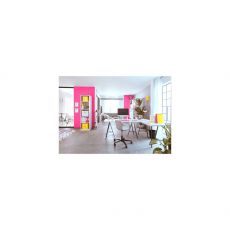 Короб архивный Leitz Click & Store L 61080016 картон желтый